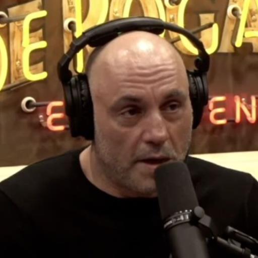 Internet Interface with Joe Rogan