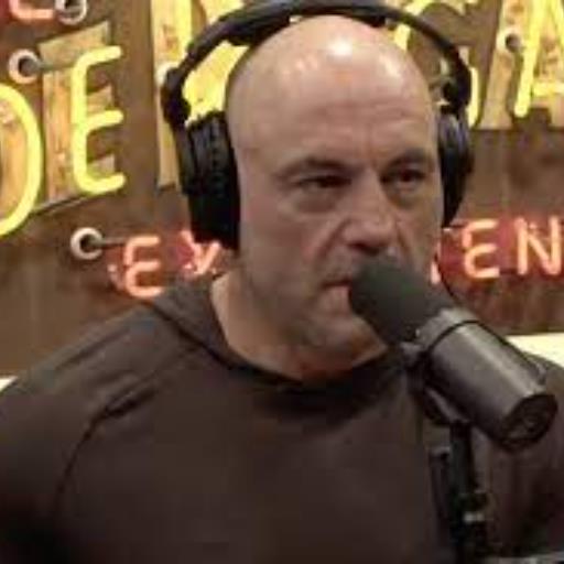 Joe Rogan AI